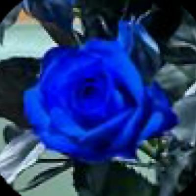 ymtomomi's profile picture. 推し垢。슈주 은혁 薬屋のひとりごと 原点は中居くん！推しは推せる内に。でも0も100もない。💙SMAP : 91/09/09 💙슈주 : 05/11/06  💙D&E : 11/12/16, 11/11/19  🇯🇵'01~ヅラ 🇺🇸'10~Lil Monster 🇰🇷'21~ELF '24~&