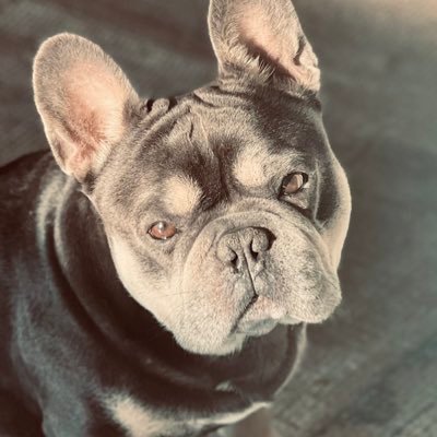 StatesRese24068's profile picture. United States Crypto Reserve $USCR 🇺🇸 America leads. America wins. The future of money is built on U.S. tokens. Go Value!