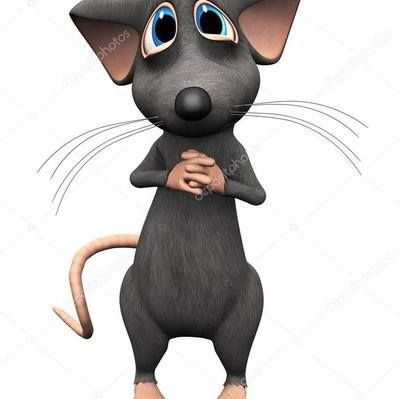 Ashleykmspls's profile picture. mais uma Leptospirose no mundo