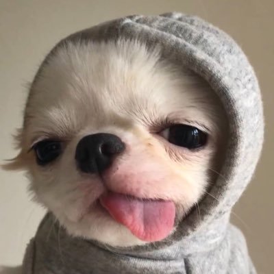 _yanrdrgz's profile picture. ;