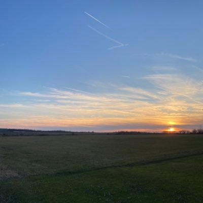 Seanatonin_'s profile picture. 