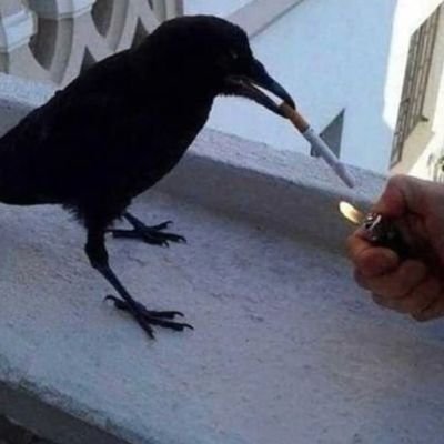 EvEBlaCk_Xx's profile picture. °

As Above, So Below - As Within, So Without

°