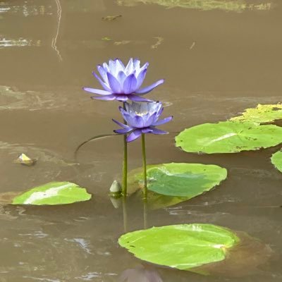 T7YqEFc4z344r7t's profile picture. There's always something in the world that touched your heart