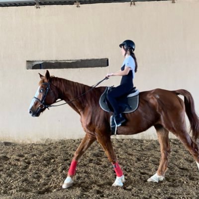 Lobiya61's profile picture. 