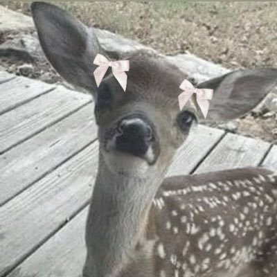 sarccharine's profile picture. i unironically love clowns ₊˚⊹♡ ⋆ unpronounceable username club ⋆  ♡