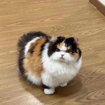 semamutlu123's profile picture. düşüncenin soluk ışığı bulandırıyor..