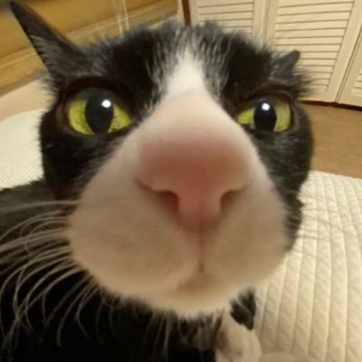 siahdb's profile picture. 