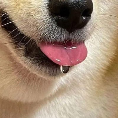 ttc714's profile picture. ㄏㄞ