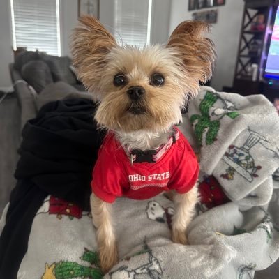 arvin_stacy's profile picture. Mom of 3, Yorkie Mom, Wife, and Ultra MAGA! Trump 45-47 ❤️ Here to help in the fight for AMERICA FIRST! We are Charlie Kirk! 🇺🇸