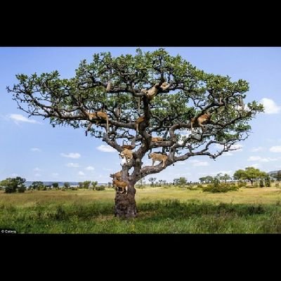 AnuRoy1055354's profile picture. 