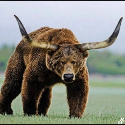 Shitcoineuse's profile picture. 