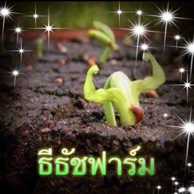 teetatfarm's profile picture. #ธีธัชฟาร์ม ร้านจำหน่ายต้นไม้ออนไลน์ Mobile/LineID: 089-827 -2715 Line ID: teetatfarmthailand