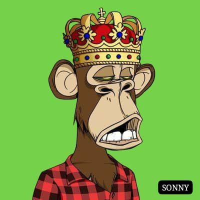 SonnyF16352's profile picture. Crypto Trader since 2013 | NFT | ICO&IDO | MEME | Investor & Trader....