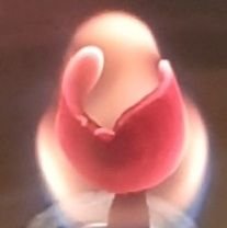 NegiNarend98292's profile picture. 