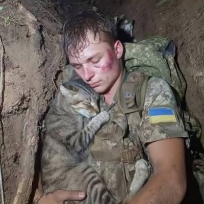 AmirHaragi's profile picture. قاعدنا سید مجتبی خامنه‌ای