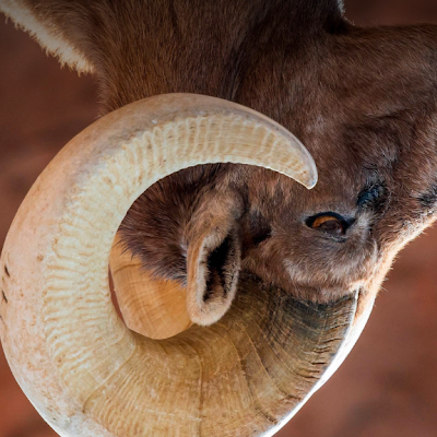 Cccoopercor's profile picture. 