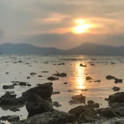 MayJtfnso89's profile picture. 