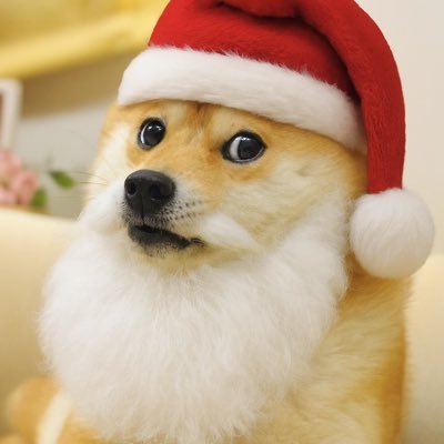 Dogemas25's profile picture. Official $Dogemas of 25 and beyond!         Ca: BBkCJj9Xyyefxo3ZVpT7qDYSzGZhskGGqQ28sLdKpump