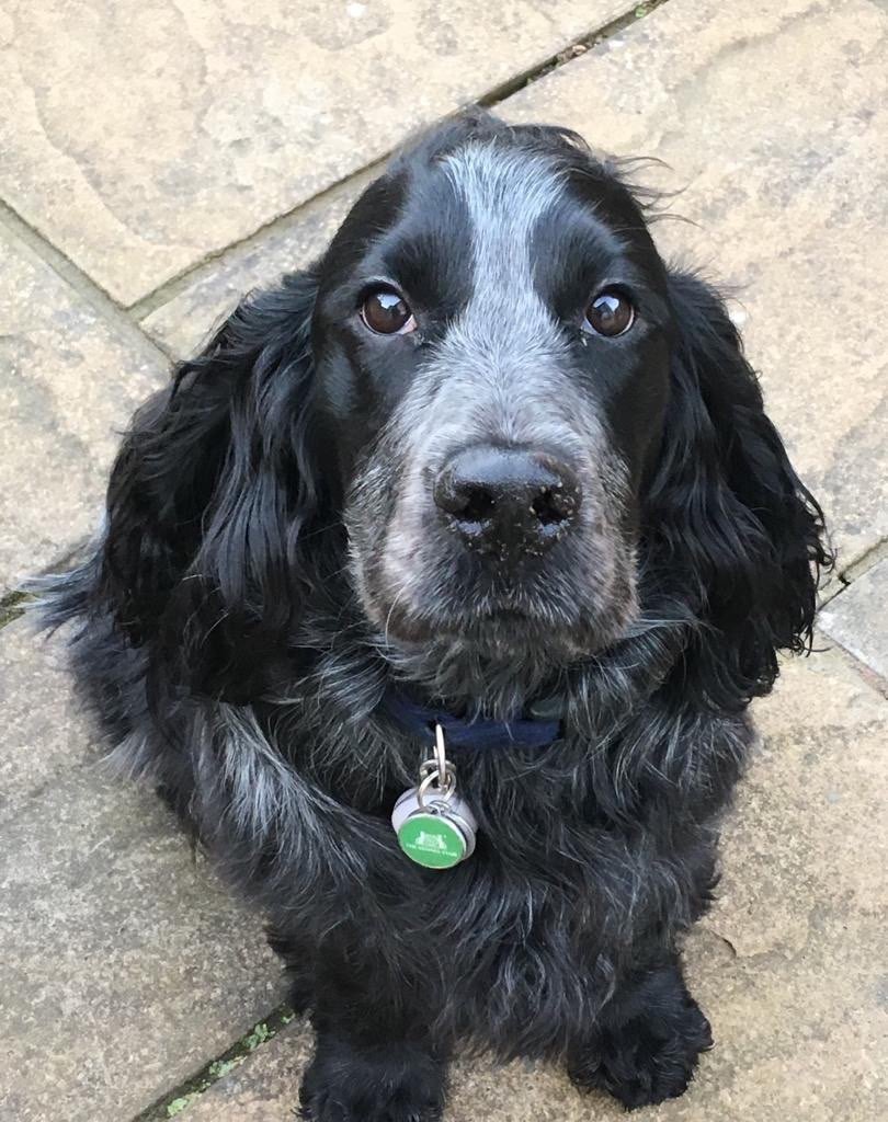 MaxwellMcGj5ye's profile picture. 