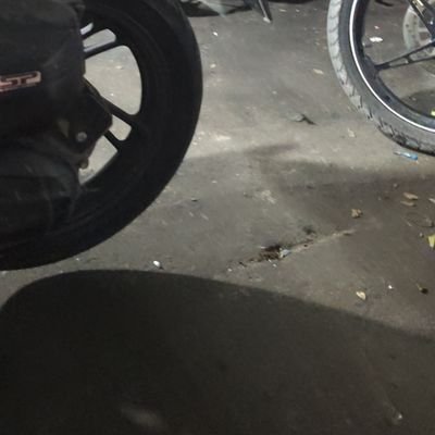 thientay44's profile picture. 