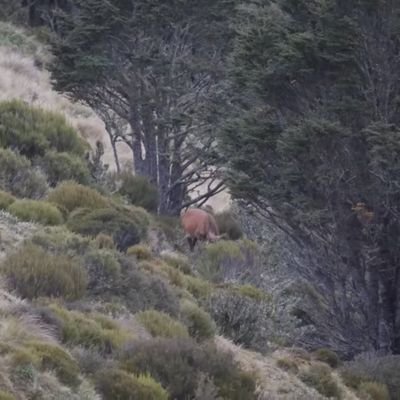 BakhrulFikri's profile picture. slay