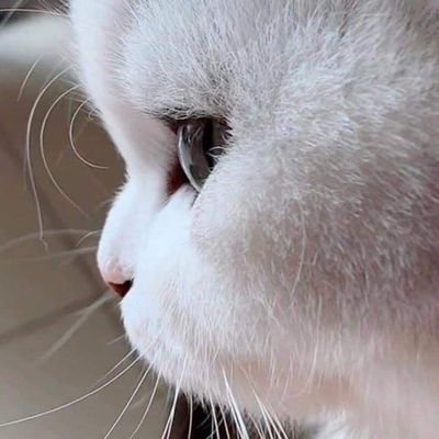 donnaStello16's profile picture. 