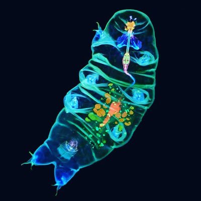 BitzzzaYup's profile picture. 🍕🍕