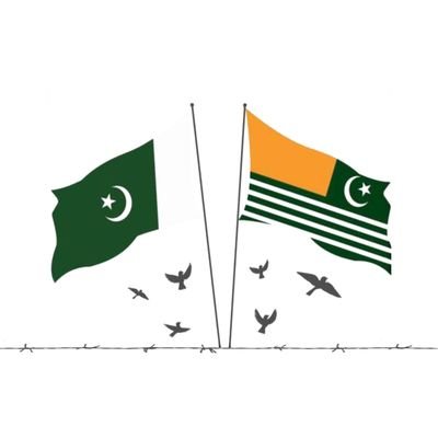 Faaiz_Qamar's profile picture. 