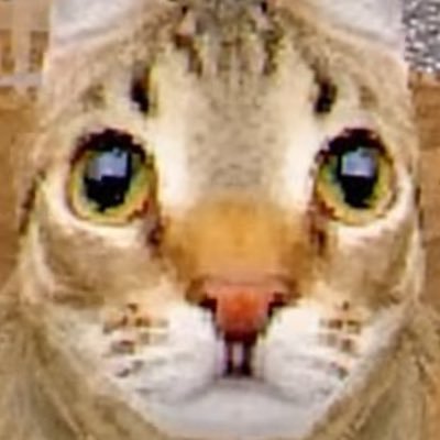 rubertpieyumm's profile picture. im 25 🔞