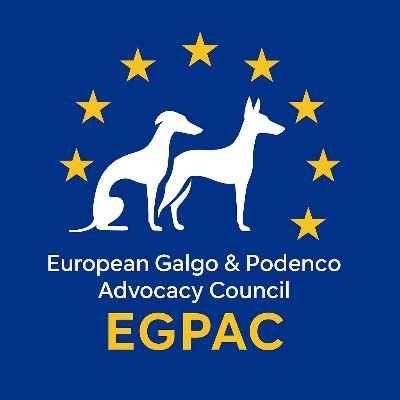 EU4GalgoProject's profile picture. 🇪🇺 European Galgo & Podenco Advocacy & Lobby Council (EGPAC)
A policy and advocacy body within Galgo Project
Een beleids- en lobbyorgaan binnen Galgo Project.