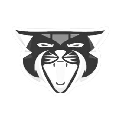 itsxFiire's profile picture. Early Hardcore, Uptempo, Synthwave producer since 2018 & Degen memecoin trader