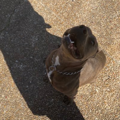 JLTGKJ's profile picture. 