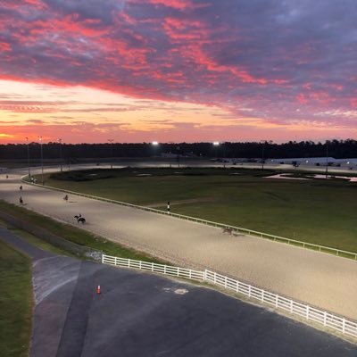 JackpotNick's profile picture. Turfwriter/TB Pedigrees/Lucky Lad 🍀 Strapper 🇦🇺 - backup 🎤Lord Strawberry 🍓 Nick the 🦞 Cajun, LSU 🐅 golfer, gardener - art major ☮️ opinions are my own