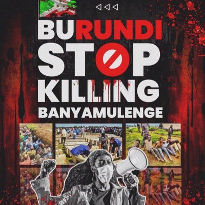 observing_web's profile picture. 