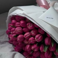 August (@keka_199) 's Twitter Profile Photo