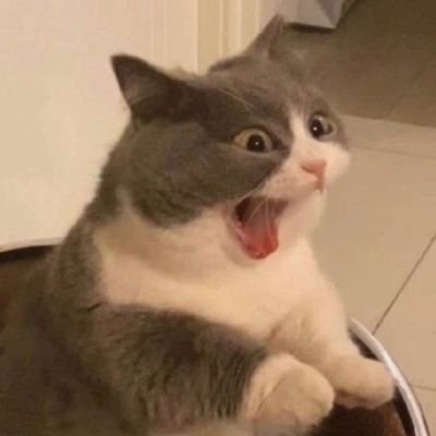 khunyqin's profile picture. 🙂‍↔️ คนนี้ไงเล่าที่เราเลือกเอง 👉🏻 : #Taedarvid | #kasibook 🍅  #fforce_ 🦊 | #jimmyyjp 🥑 #sea_tawinan 🌊 | #sea_ta_lay 🦦 #keenkeno 🦞 |