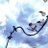 tabako1114's profile image