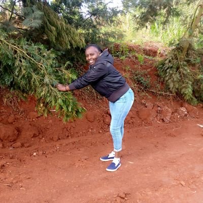 CessNdiritu's profile picture. 