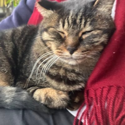 uDGiLZDwAaOVrhc's profile picture. note始めました。40日後のクリスマス、僕は告白します。  8年間醜形恐怖に苦しみ続け、東大二度落ちも経験し、今はとある国立大の20歳。 コンプレックスを乗り越え今年の聖夜、人生初の告白をするまで。40日間の全記録をnoteに綴ります。見た目に悩み苦しむ、そんな人を勇気づけるような記事を隔日投稿します。