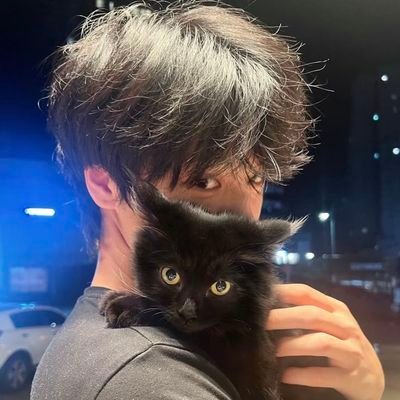 ryanleobnb's profile picture. working