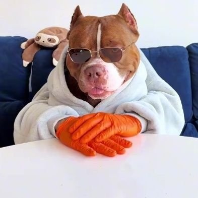 tlha_le_fo's profile picture. 𝙅'𝙖𝙙𝙤𝙧𝙚 𝙞𝙘𝙞 🫀