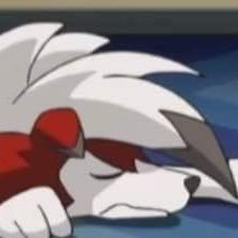 aerobugg's profile picture. local loverboy, bug enthusiast, Zelda autist and pathetic puppy-dog