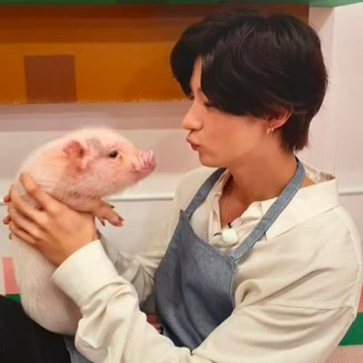 puppigsaurus's profile picture. 