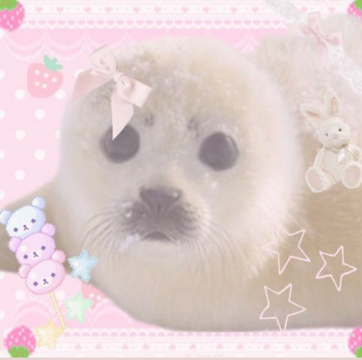 Charmy_Beebleh's profile picture. 