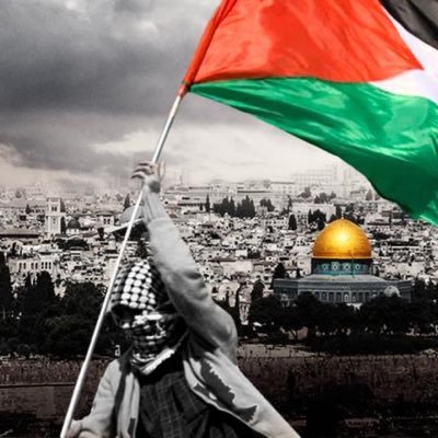 Nedal_48's profile picture. سبحان الله و بحمده.. #Free_Palestine🇵🇸# 💻