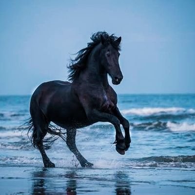 Ananat_Pravasi's profile picture. 🚩|| हिन्दू तन-मन, हिन्दू जीवन, रग रग हिन्दू मेरा परिचय || 🚩🎵 🥁 Introvert 🏏 🔁 Believer: समय की धारा || Trust: सदाशिव || 🕉️