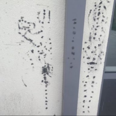 rynh667's profile picture. 