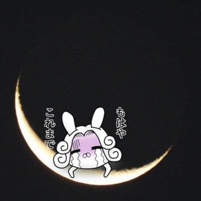 sixsili's profile picture. 元自衛官。現在看護師らしい。
ちょっと前にブチ切れ気味に退職して現在特養。
「月」の写真撮るのが好き。
うさぎ伯爵宣伝部長(自称)、アイコンはTrinityさん@trois_unisのLINEスタンプ。ヘッダーはヤムコさん@ymzikari

RT、引用RTは好きではないです。