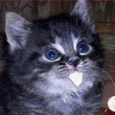 homogreusome's profile picture. :-Ppppp HYUN HYUN HYUN HYUN 21