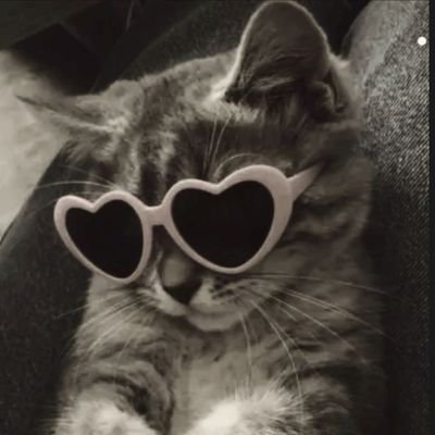 jeontaeri_'s profile picture. ☆
╭ ❝ based on ❞
  • #ออฟกัน 👶🏻💚 #BKPP 💙❤️ #PROXIEGun 🧡 #JUNG_PERSES 🦥 #NiceATLAS 👾 !!